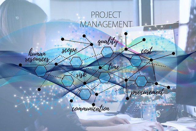 Project Management IT Consulting Services