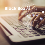 Black Box AI